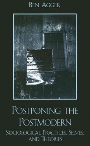 Libro Postponing the Postmodern Ben Agger