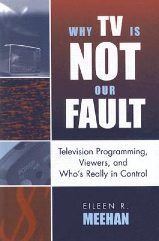 Buch Why TV Is Not Our Fault Eileen R. Meehan