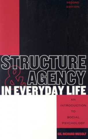 Buch Structure and Agency in Everyday Life Gil Richard Musolf