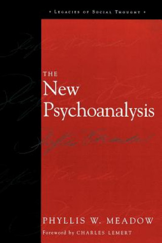 Kniha New Psychoanalysis Phyllis W. Meadow