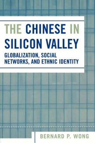 Livre Chinese in Silicon Valley Bernard P. Wong