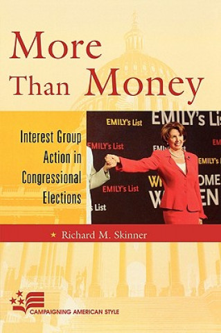 Kniha More Than Money Richard M. Skinner