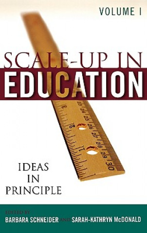 Kniha Scale-Up in Education Barbara Schneider