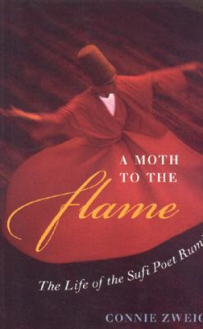 Buch Moth to the Flame Connie Zweig