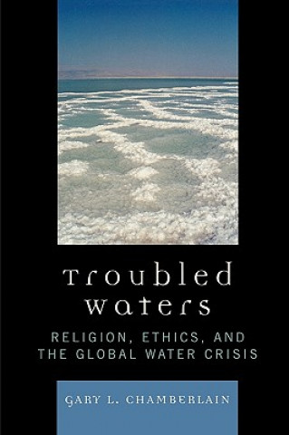 Книга Troubled Waters Gary Chamberlain