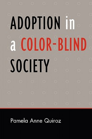 Kniha Adoption in a Color-Blind Society Pamela Anne Quiroz