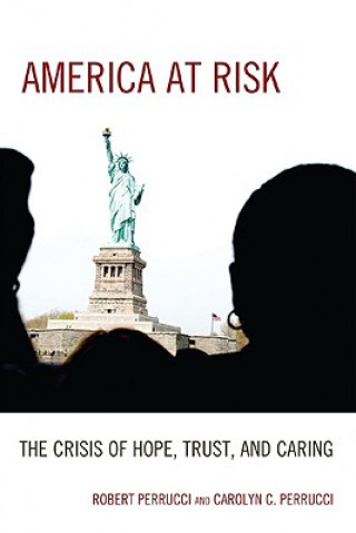Könyv America at Risk Carolyn C. Perrucci
