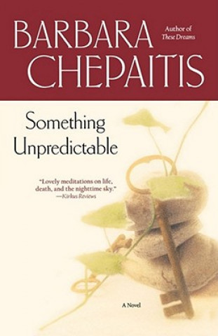 Knjiga Something Unpredictable Barbara Chepaitis