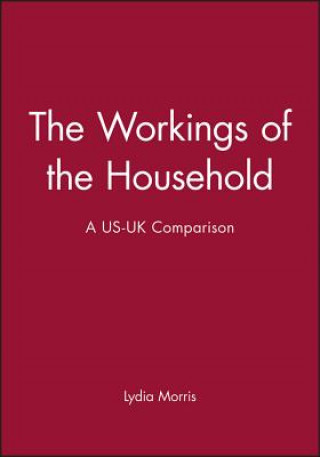 Kniha Workings of the Household Lydia Morris