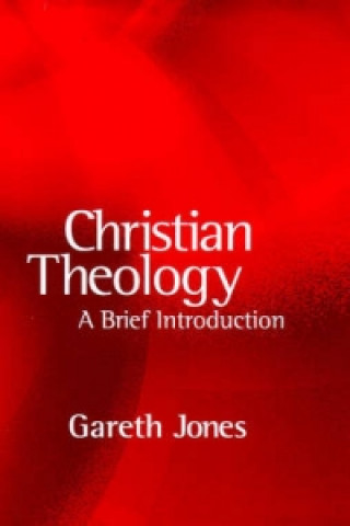 Knjiga Christian Theology Gareth Jones