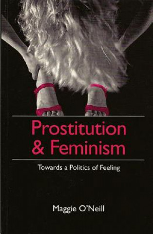 Buch Prostitution and Feminism - Towards a Politics of Feeling Maggie O Neill