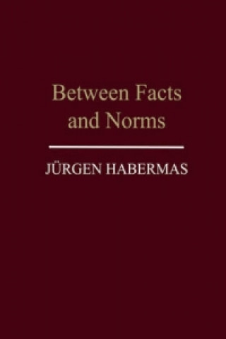 Könyv Between Facts and Norms - Contributions to a Discourse Theory of Law and Democracy Jürgen Habermas