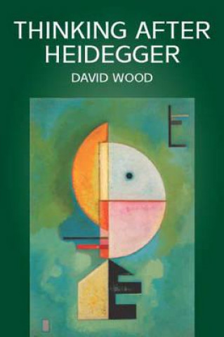 Carte Thinking After Heidegger David Wood