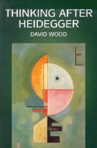 Kniha Thinking After Heidegger David Wood