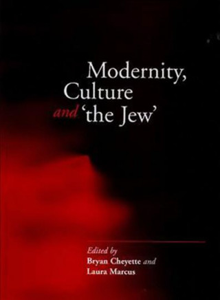 Buch Modernity, Culture and 'The Jew' Bryan Cheyette