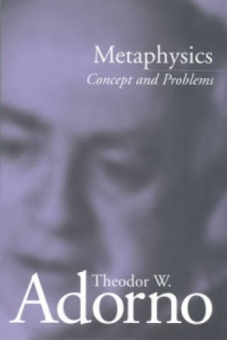 Buch Metaphysics - Concept and Problems Theodor W. Adorno