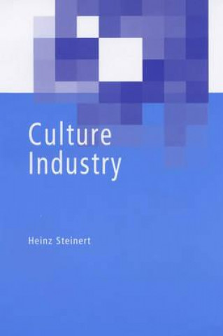 Kniha Culture Industry Heinz Steinert