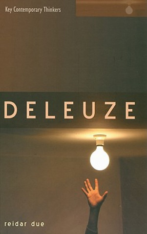 Livro Deleuze Reidar Andreas Due