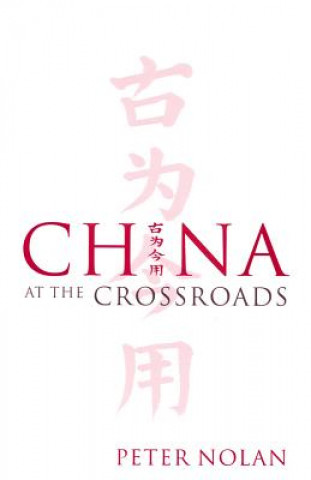 Buch China at the Crossroads Peter Nolan