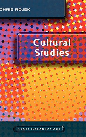 Buch Cultural Studies Chris Rojek