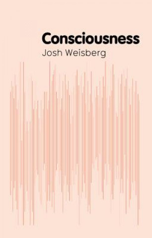 Libro Consciousness Josh Weisberg