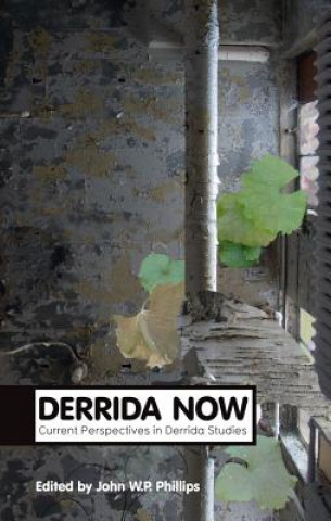 Knjiga Derrida Now - Current Perspectives in Derrida Studies John William Phillips