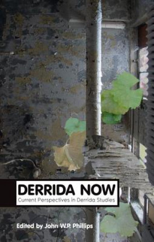 Kniha Derrida Now - Current Perspectives in Derrida Studies John William Phillips