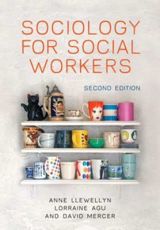 Kniha Sociology for Social Workers 2e Anne Llewellyn