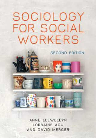 Libro Sociology for Social Workers 2e Anne Llewellyn