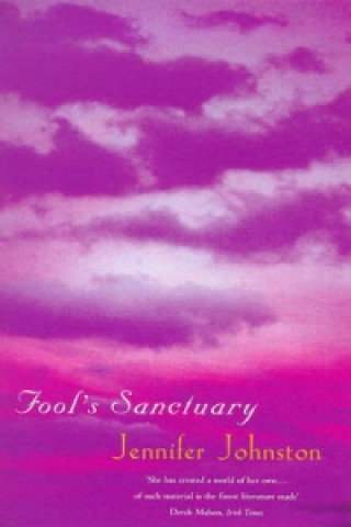 Buch Fool's Sanctuary Jennifer Johnston