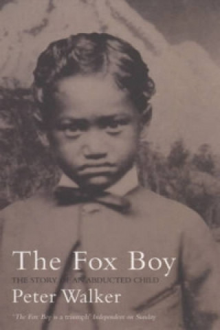 Buch Fox Boy Peter Walker
