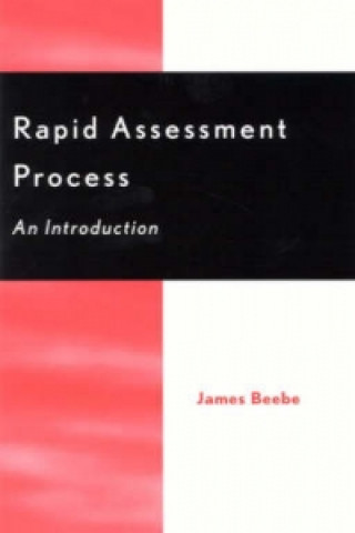 Książka Rapid Assessment Process James Beebe