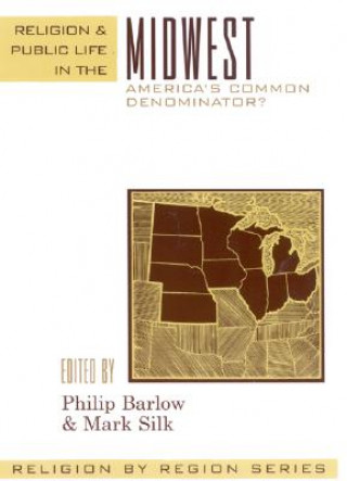 Kniha Religion and Public Life in the Midwest 