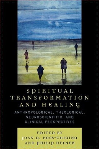 Carte Spiritual Transformation and Healing Joan D. Koss-Chioino