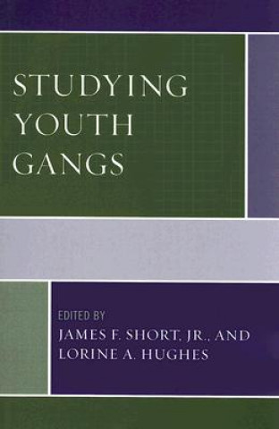 Libro Studying Youth Gangs James F. Short