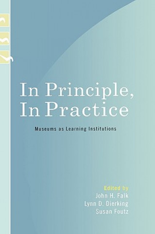 Kniha In Principle, In Practice John H. Falk