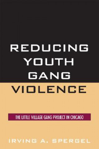 Книга Reducing Youth Gang Violence Irving A. Spergel