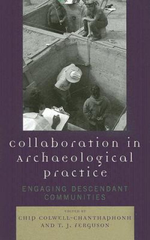 Könyv Collaboration in Archaeological Practice T. J. Ferguson