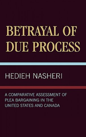 Kniha Betrayal of Due Process Hedieh Nasheri