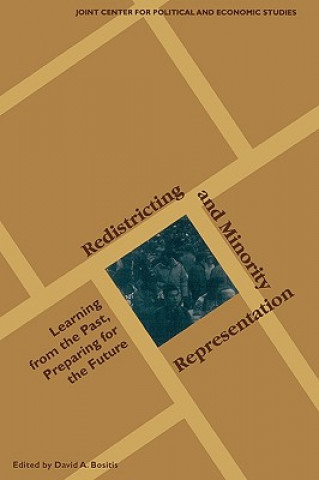 Книга Redistricting and Minority Representation David A. Bositis