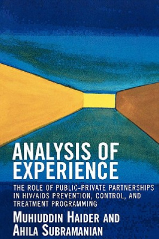 Kniha Analysis of Experience Muhiuddin Haider