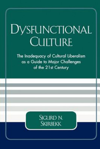 Könyv Dysfunctional Culture Sigurd N. Skirbekk