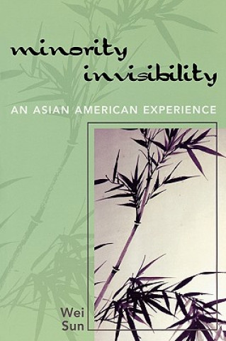 Boek Minority Invisibility Wei Sun