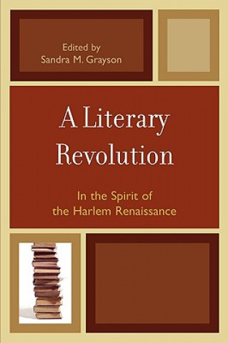 Kniha Literary Revolution Sandra M. Grayson