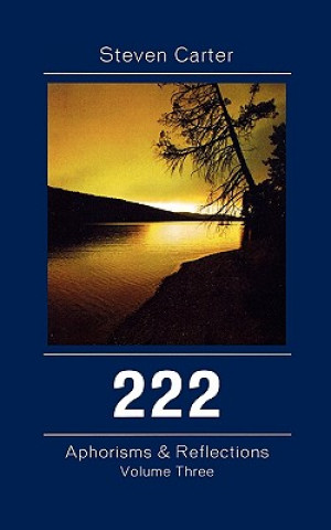 Kniha 222 Steven Carter