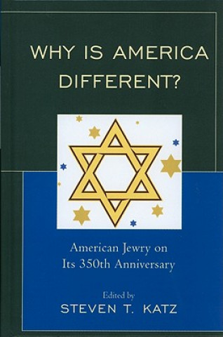 Kniha Why Is America Different? Steven T. Katz