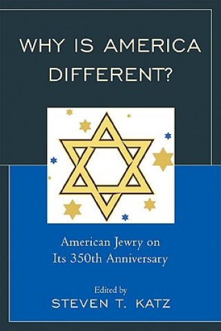 Kniha Why Is America Different? Steven T. Katz