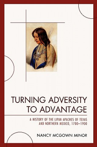 Buch Turning Adversity to Advantage Nancy McGown Minor