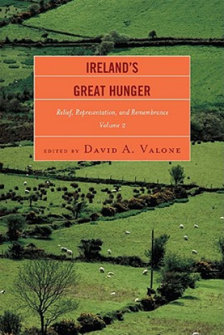 Книга Ireland's Great Hunger David A. Valone