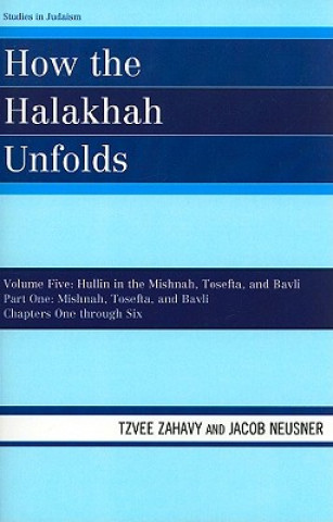 Kniha How the Halakhah Unfolds Tzvee Zahavy